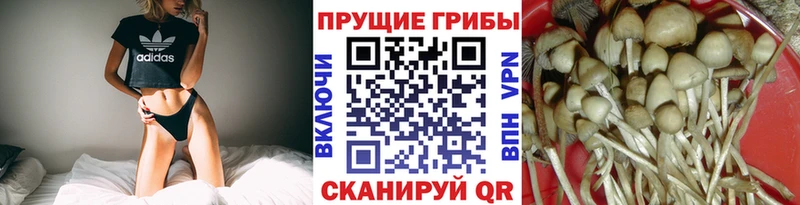 Галлюциногенные грибы мицелий  где купить наркоту  площадка телеграм  Ливны 